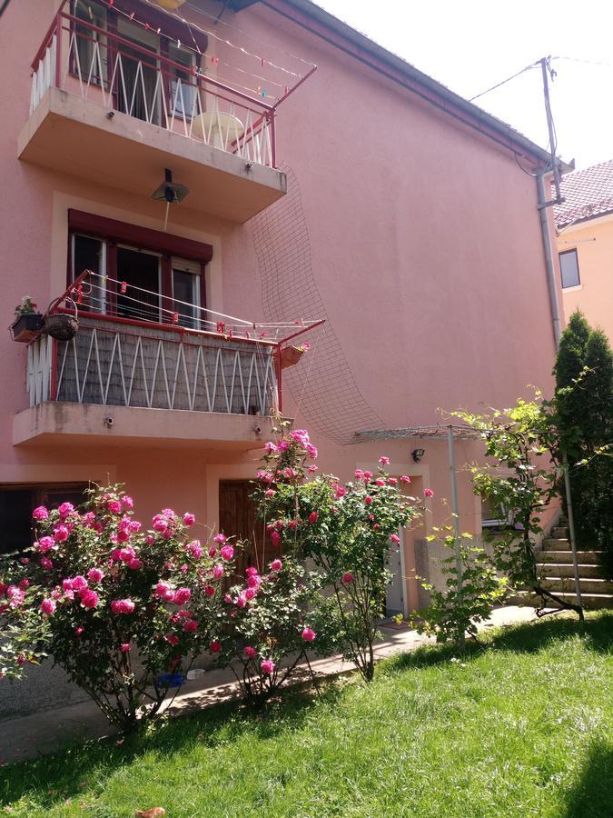 Apartmani Konta Livno Extérieur photo